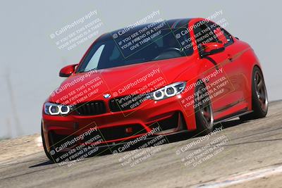 media/Jul-26-2025-Speed Ventures (Sat) [[fe569e6cf0]]/Red Group/Grapevine/